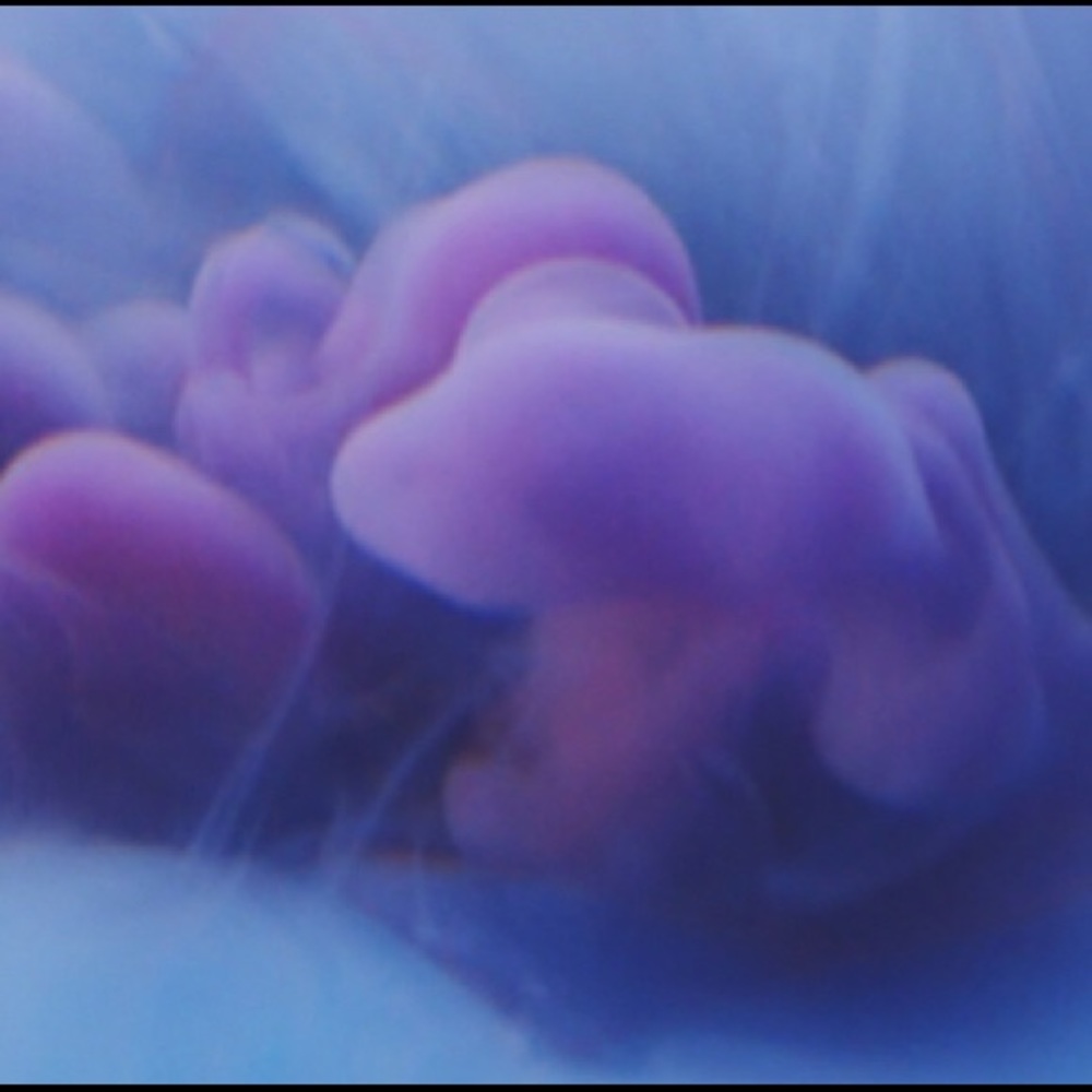 Meet your Posher, Gerardo